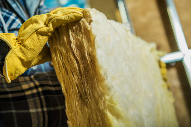 Best Residential Insulation in Crisfield, MD